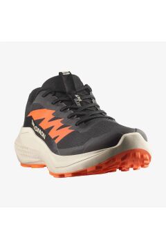 Salomon Alphaglide Turuncu Erkek Patika Ayakkabısı