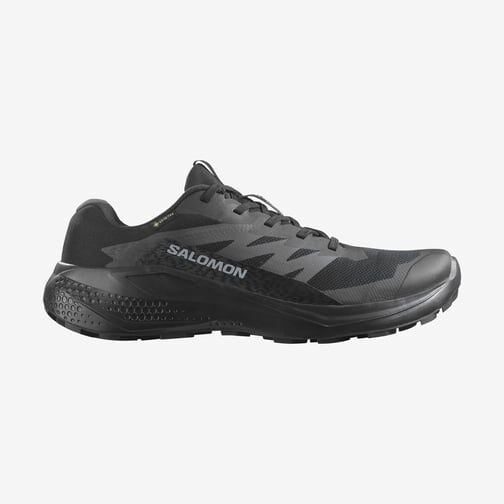 Salomon Alphaglide Erkek Patika Ayakkabısı