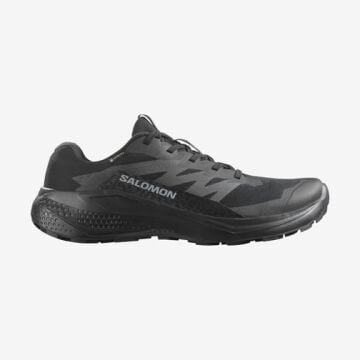 Salomon Alphaglide Erkek Patika Ayakkabısı