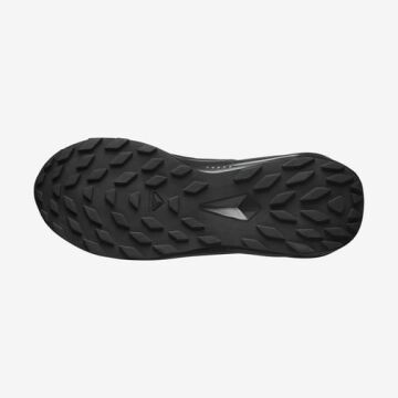 Salomon Alphaglide Erkek Patika Ayakkabısı