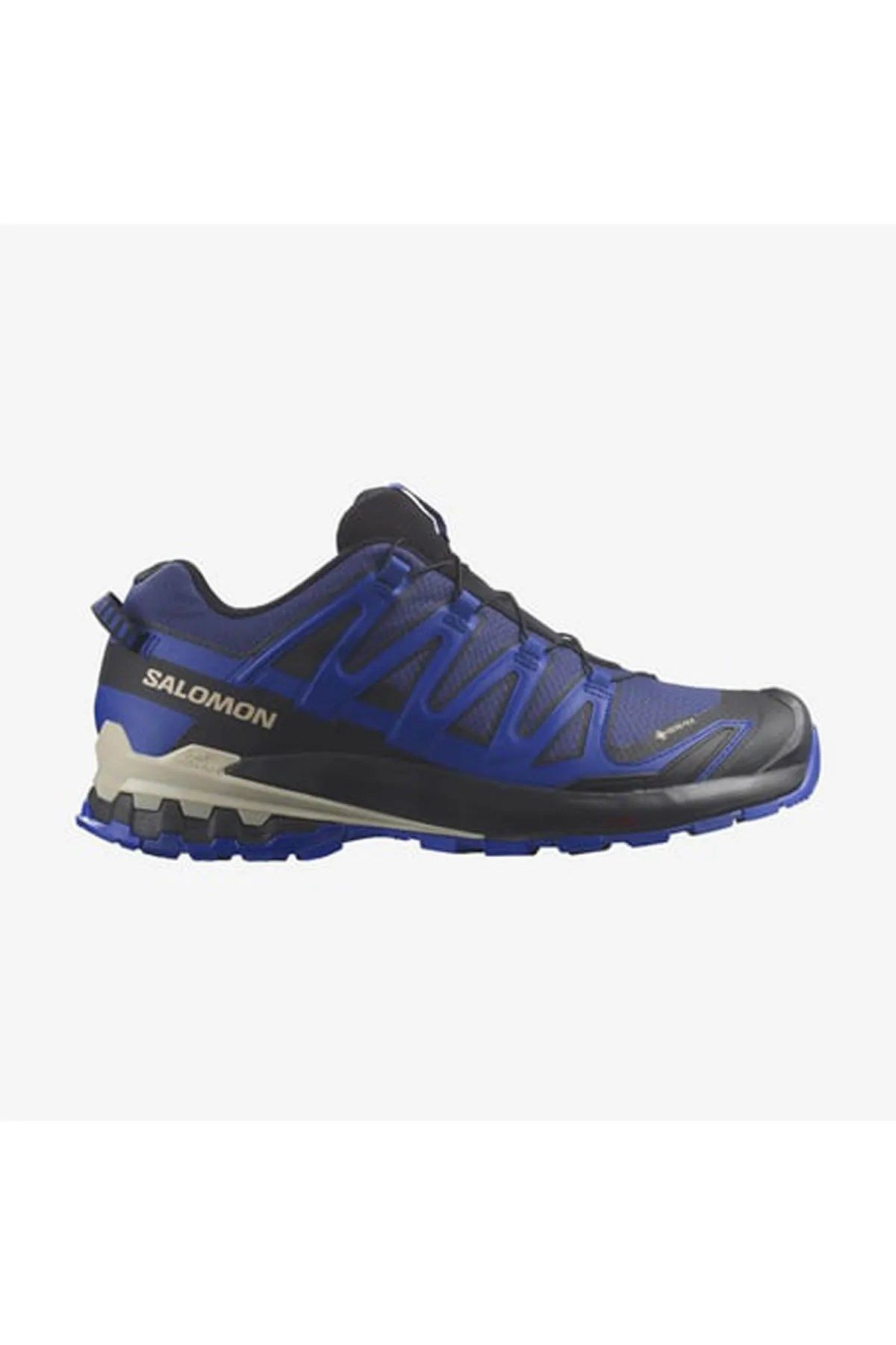 Salomon Xa Pro 3D V9 Gore-Tex® Erkek Koşu Ayakkabı Mavi