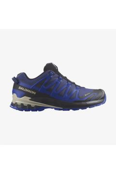 Salomon Xa Pro 3D V9 Gore-Tex® Erkek Koşu Ayakkabı Mavi
