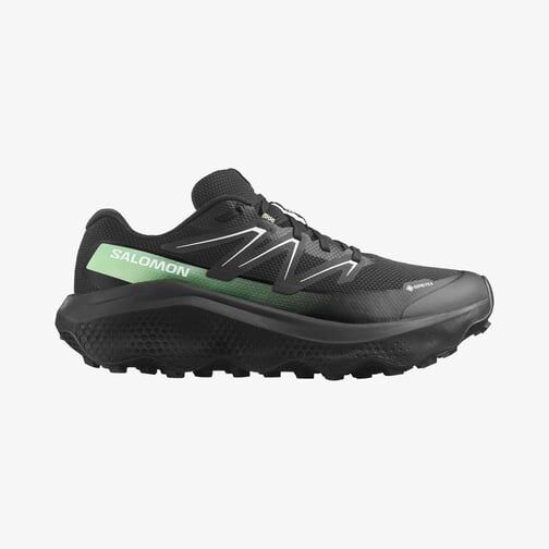 Salomon Ultra Flow 2 Gtx Erkek Outdoor Ayakkabısı