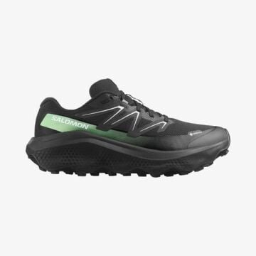 Salomon Ultra Flow 2 Gtx Erkek Outdoor Ayakkabısı Siyah