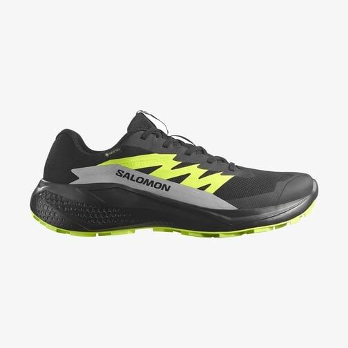 Salomon Alphaglide Gtx Erkek Patika Ayakkabısı
