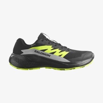 Salomon Alphaglide Gtx Erkek Patika Ayakkabısı