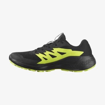 Salomon Alphaglide Gtx Erkek Patika Ayakkabısı