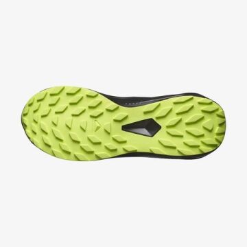 Salomon Alphaglide Gtx Erkek Patika Ayakkabısı