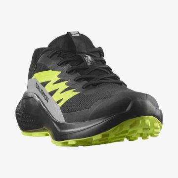 Salomon Alphaglide Gtx Erkek Patika Ayakkabısı