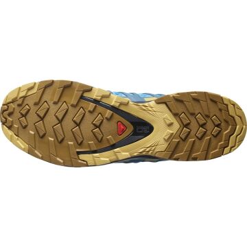 Salomon Xa Pro 3D V8 Erkek Patika Koşu Ayakkabısı L41439900