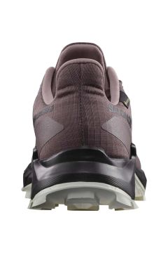Salomon Alphacross 5 GTX Kadın Patika Koşusu Aykb.
